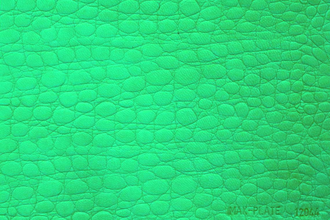 Assumenda accus antium